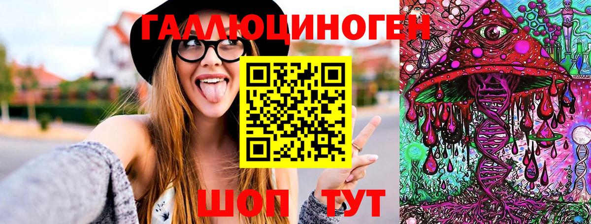 хочу наркоту  Вход с VPN  Усть-Джегута  Псилоцибиновые грибы GOLDEN TEACHER 