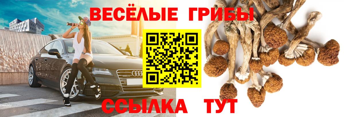 Псилоцибиновые грибы MAGIC MUSHROOMS Усть-Джегута